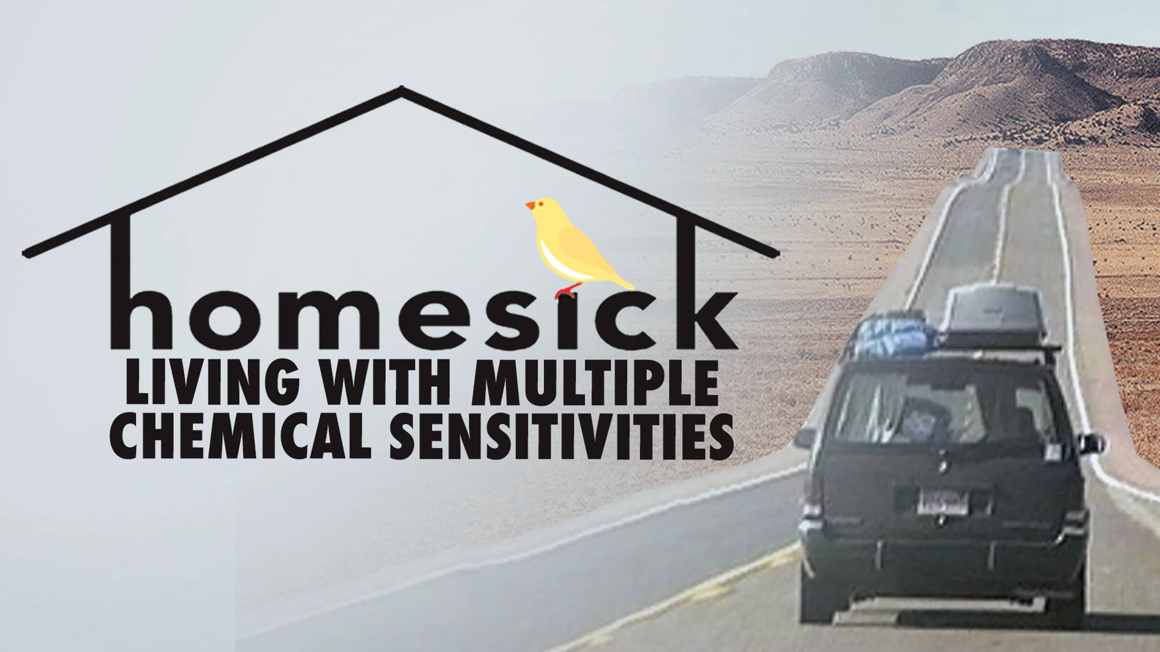 Homesick: Living with Multiple Chemical Sensitivities poster